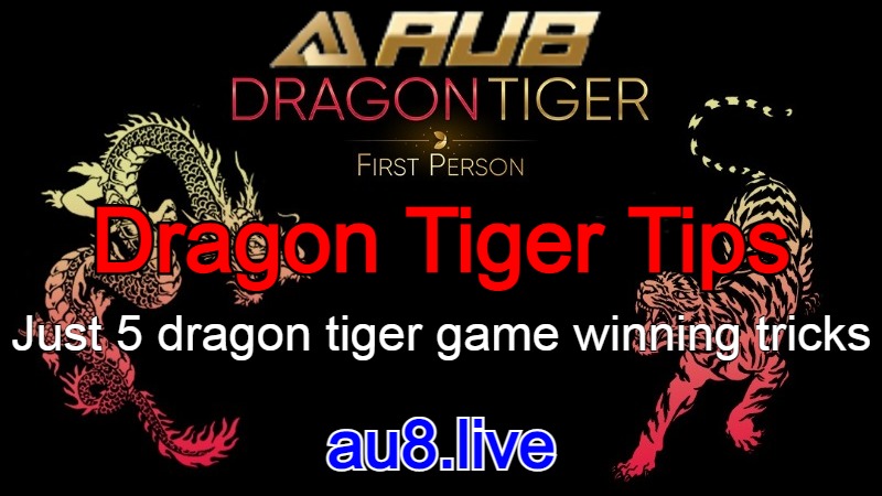 Dragon Tiger Tips｜Just 5 dragon tiger game winning tricks