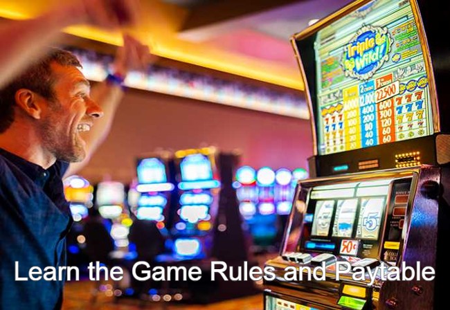 Learn the Game Rules and Paytable